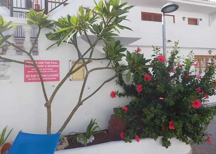 Pool & View Christianos Appartement Los Cristianos (Tenerife)